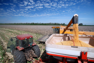 BNDES aprova R$ 52,3 bi para o agro em 2024