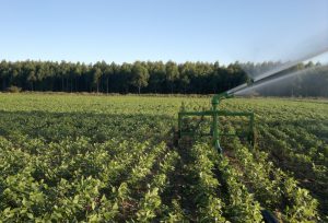 Produtor rural vai emitir notas por meio digital a partir deste ano