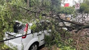 Com temperatura de até 42ºC temporais deixam estragos