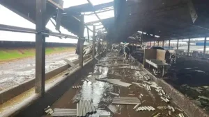 Vendaval causa estragos em propriedades no interior