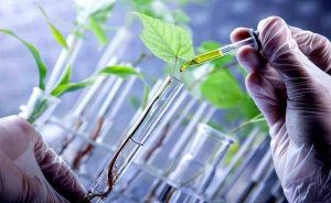 Brasil deve liderar mercado global de biológicos em 2025
