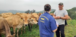 Foco de febre aftosa na Alemanha serve de alerta para necessidade de manter cuidados sanitários