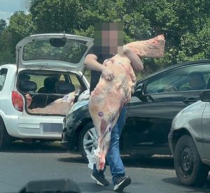 Caminhão tomba e carga de carne é saqueada em rodovia