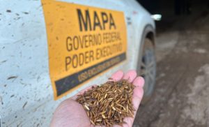 Convênio de R$ 21 milhões fortalece defesa agropecuária