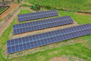 Paraná tem melhor desempenho do País em geração distribuída de energia renovável