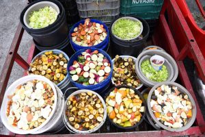 Banco de alimentos: parceria ajuda a alimentar animais silvestres
