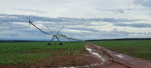 Governo prorroga vigência de benefício fiscal da energia elétrica para irrigação