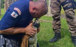 Após alimentar jacaré, família pede socorro para resgate