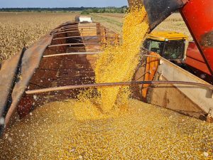 Estado faz balanço positivo do setor agrícola em 2024