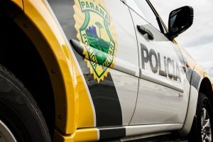 Bandidos abatem suíno e levam caixas de abelha de propriedades