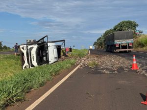 Caminhão tomba e carga de tilápias se espalha pela rodovia