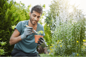 Jardinagem é capaz de proporcionar benefícios para corpo e mente
