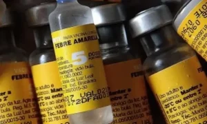 Saúde confirma casos de febre amarela em macacos