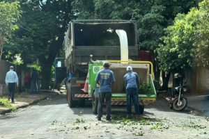 Cidade tem nova operação para preservar produção comercial de citros