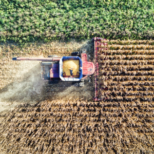 Agronegócio impulsiona economia e projeta crescimento de 5% para 2025