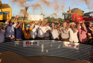 Reivindicações a governos marcam abertura oficial da Colheita do Arroz