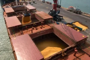Anec prevê alta na exportação de soja do Brasil em fevereiro