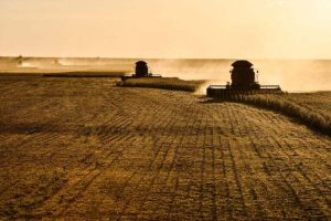 Mapa cria programa para modernizar produção agrícola
