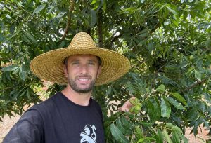 Produtor conta como fez árvores terem aumento de 90% na produção de nozes
