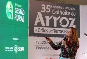 Exportações de arroz tendem a crescer nos próximos anos