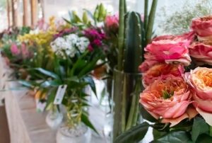 Valentine’s Day aquece mercado de flores e plantas em fevereiro