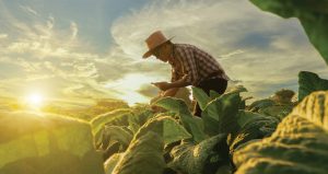 Cadastro Nacional da Agricultura Familiar passa por atualização