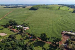 Cadastro Ambiental Rural deixa de ser responsabilidade do IAT