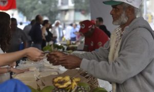 Saiba como acessar o Programa Desenrola Rural
