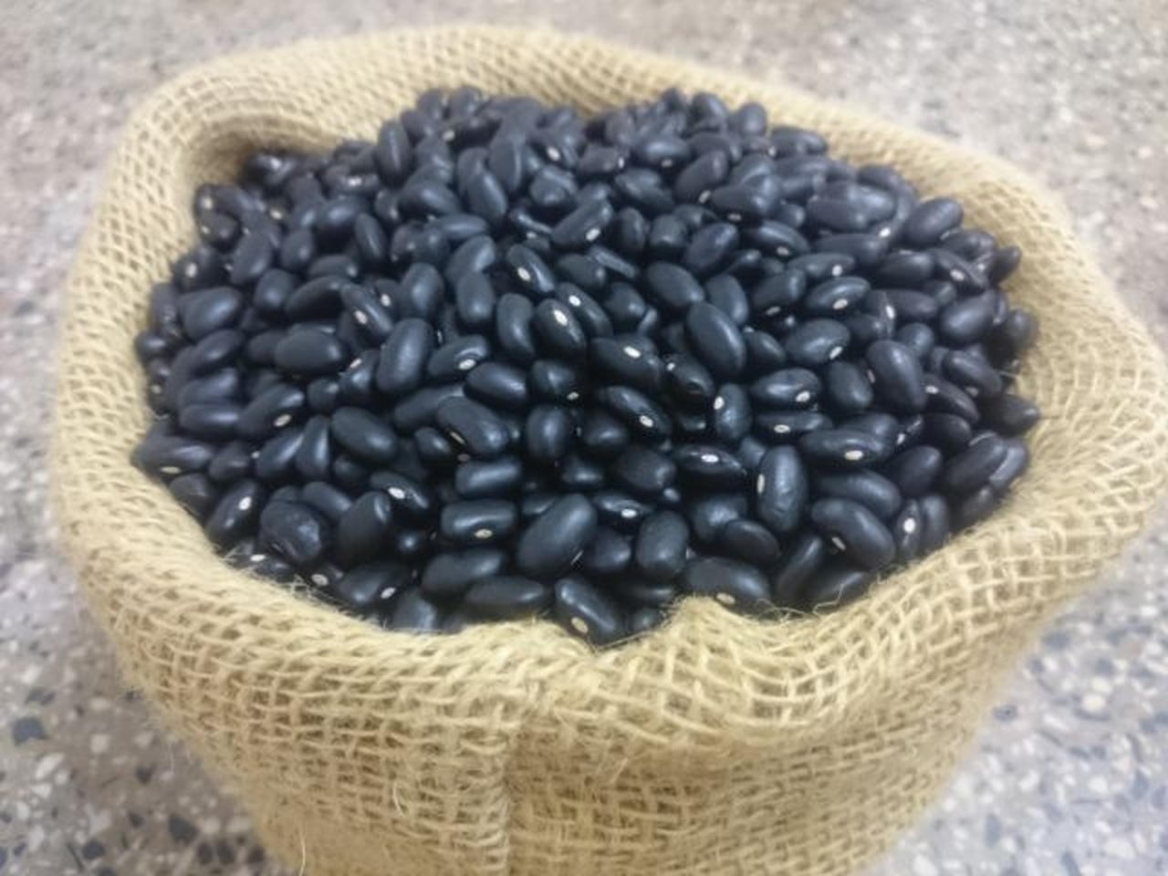 Cotações Agropecuárias: Valores do feijão estão mais firmes; produção no PR deve cair