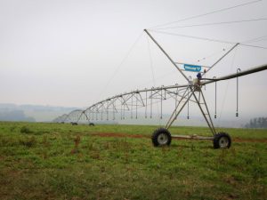 Saiba como acessar o Programa Irriga Paraná