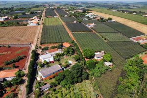 Instituto devolve, para cada R$ 1 investido, mais de R$ 7 para a sociedade