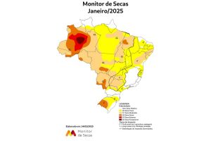 Chuva de dezembro diminui seca, aponta monitor nacional