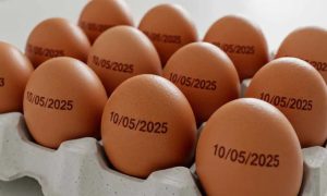 Suspensa determinação de carimbar data de validade em ovos