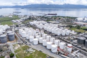 Porto de Paranaguá movimentou 72% do volume nacional de óleo de soja