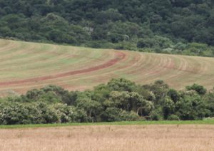 Comissão técnica da FAEP esclarece dúvidas sobre Cadastro Rural