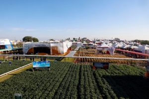 Os benefícios da sustentabilidade na produção de grãos