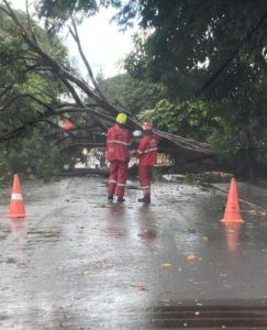 Forte vendaval atinge cidade