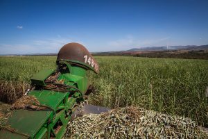 Custos de produção têm alta significativa