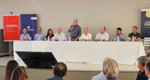 Renda de cooperativas pode ser elevada dez vezes em 15 anos