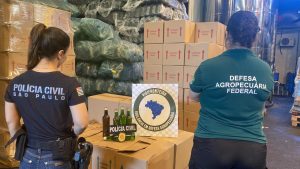 Tudo pirata: 542 mil litros de bebidas apreendidas em 5 anos