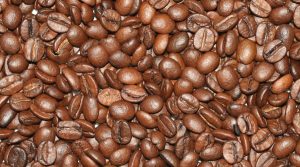 Estado pretende expandir cafeicultura