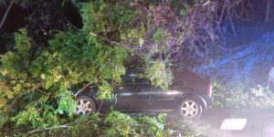 Temporal causa estragos em Foz do Iguaçu na noite de quinta-feira