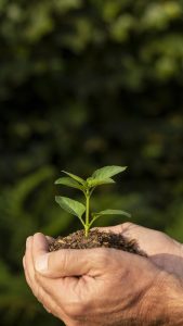 Federações sugerem alterações nos limites de renda visando seguro rural