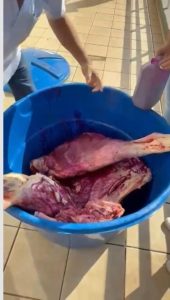 Estabelecimento pintava carne estragada para vender como fresca