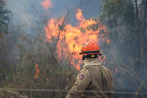 Emergência ambiental é decretada por 180 dias
