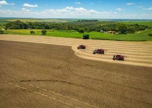 Emissões de carbono na agricultura brasileira equivalem US$ 11,54/tonelada