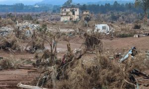 Serra Gaúcha pode levar 40 anos para recuperar o solo