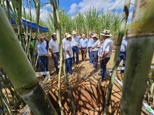 Estado tem produção recorde de etanol