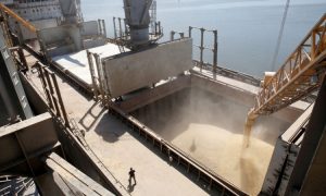 Cessar-fogo no Mar Negro pode ser bom para o agronegócio global