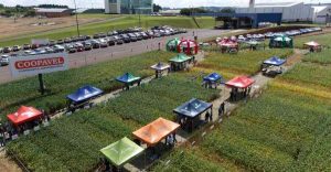 Coopavel apresenta tecnologias a produtores rurais em Dia de Campo